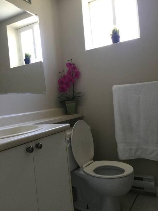 Cozy Apartamento *
